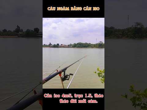 Bộ câu ngâm siêu cảm giác bằng cần ISO, địa hình ít rác, nước chảy yếu.