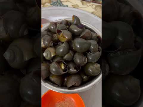 Ốc luộc mời các cụ