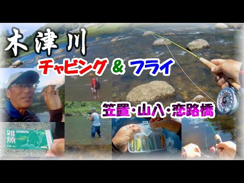 【京都・木津川釣り】ヤバい！真夏のチャビング&フライフィッシング・毛鉤流し釣りでオイカワ&カワムツ狙い！ハスは？ダイソーレンジャーにルアーはスピナー・スプーン・ミノー色々試してきたよ！笠置キャンプ場