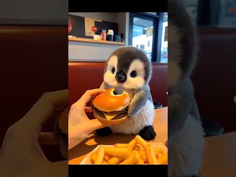 Cute baby Panguins 🤩😘 #trending #shortvideo #cuteanimals #cute #penguin #viralvideo #explore #trend
