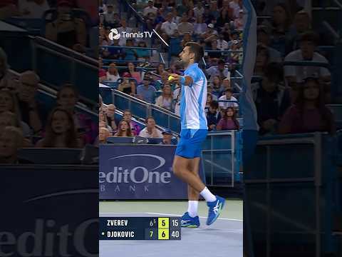 A STRANGE Interruption In Djokovic vs Zverev 👀🎆