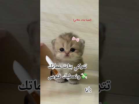 #ترند_تيك_توك #جابولي #ريال_مدريد #لايك #اكسبلور هههه اكرهمممم🤫