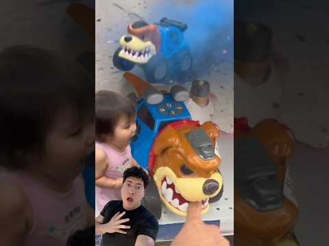 No le metas el dedo al perro 🐕 🚛