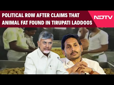 Andhra Politics | Political Row After Claims That Animal Fat Found In Tirupati Laddoos
