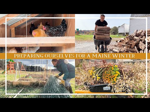 Batten down the hatches! Wood stacking, chicken winterizing, yard clean up + more! | PREP WITH US