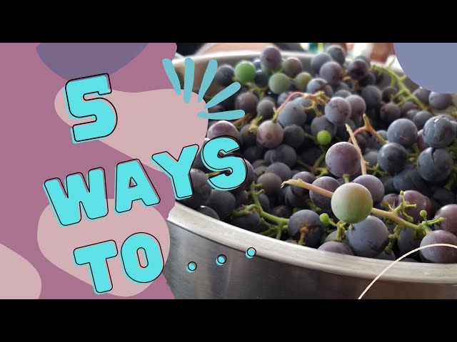 How to Preserve Grapes for Long-Term Storage