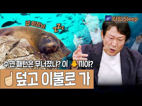고막 보스 💵 곽철용이 들려주는 지구 자전축 23.5도의 비밀🌙 2시간 30분 수면 권장 다큐 | KBS 다큐 인사이트 방송