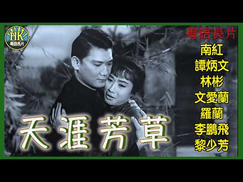 《粵語長片》天涯芳草 (1966)｜南紅｜譚炳文｜林彬｜文愛蘭｜羅蘭｜李鵬飛｜黎少芳｜導演：莫康時｜香港電影｜香港粵語電影｜粵語中字