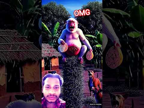 monkey 🐒 #kahani #cartoon #animation #funny #ai #funnyanimals please support 👍👍👍👍👍👍👍