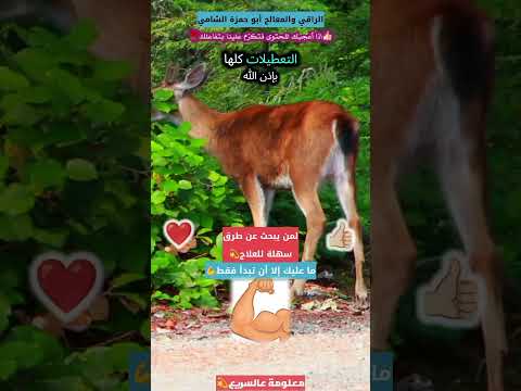 لمن يبحث عن طرق سهلة وقوية للعلاج💫ما عليك إلا أن تبدأ فقط💪معلومة عالسريع💫استعينوا بالله وستنتصروا☝️