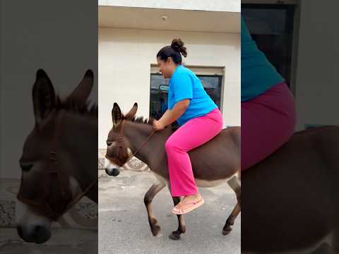 Mamãe foi de jumento #viralvideo #shorts