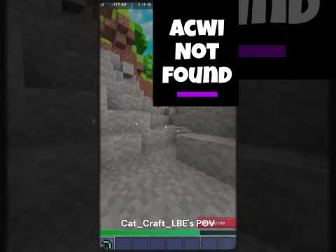 Different POV @Cat_craft_LBE