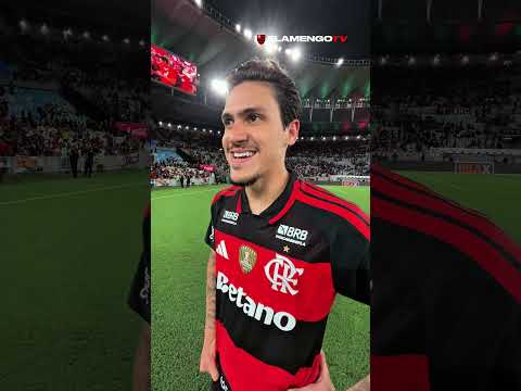 image para ilustrar o artigo