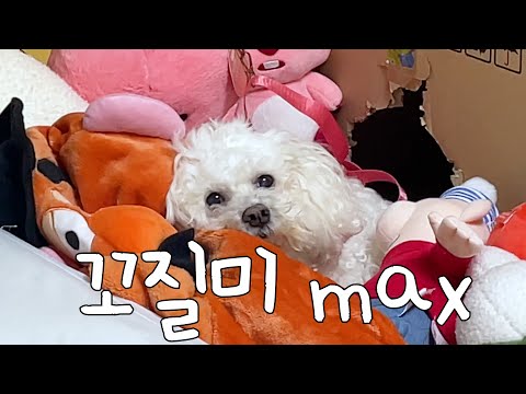 꼬질꼬질하니까 더 귀엽다