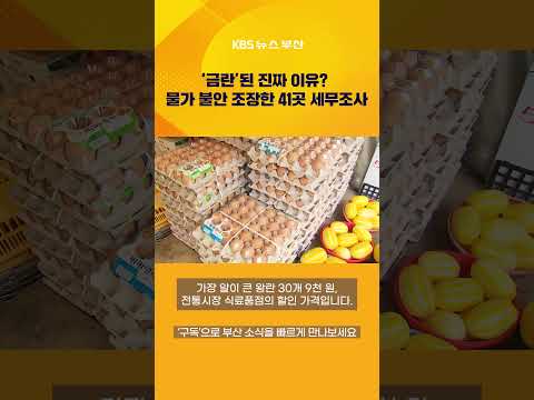 ‘금계란’ 수익 수십억 축소 신고…41개 업체 세무조사 #뉴스7 #국세청 #세무조사 #물가