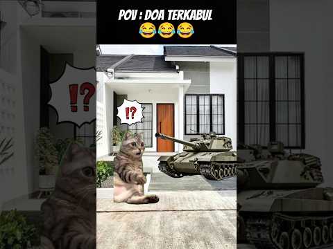 Pov : Terkabulkan 🤣 #meme #cat #kucing #animation #kucinglucu #trending