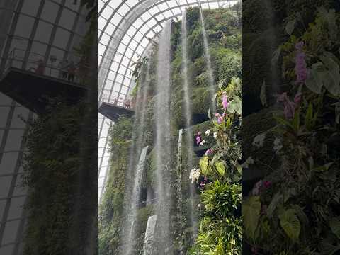 Tallest indoor waterfall in the world!