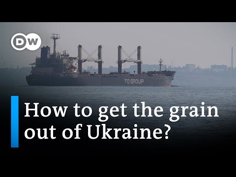 Ukraine considering alternative grain export routes | DW News