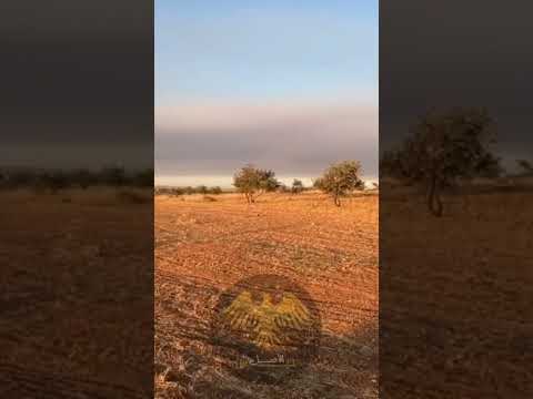 هُـنـاَ قَـلْـبـيِ ❤️ هُـنَـاَ لُـغَـتـيِ 🌸 #حيش