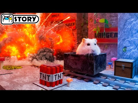 Minecraft in Real Life: Hamster Maze Adventure - Shorts 🐹 Homura Ham Pets