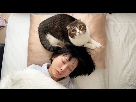 枕を奪っても寝続ける飼い主に猫が困っちゃいました…w