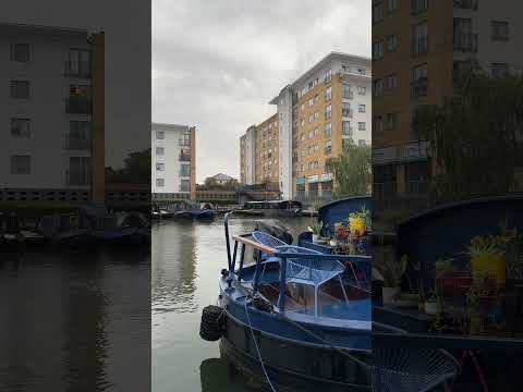The Beauty Right Outside My Door 🌿✨ #walkthrough #nature #peace #reels #shorts