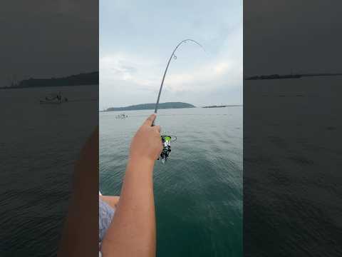 วิ่งไม่หยุดเลย😱 #fishing #jigging #micro #bigfish #sorry