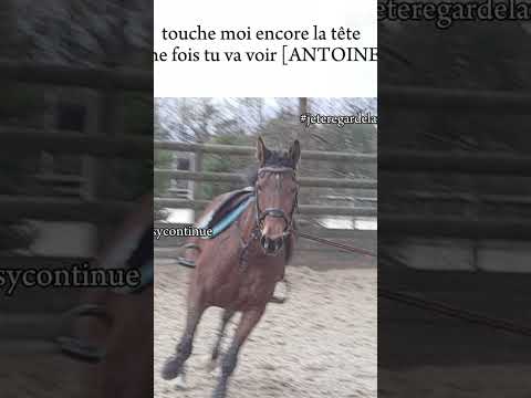 OUI TOI ANTOINE DANS MON COLLÈGE