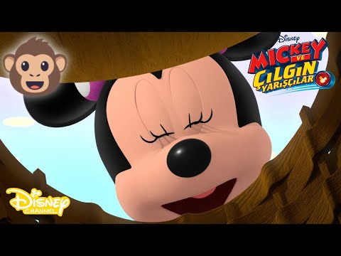 Minnie ile Macera | Mickey ve Çılgın Yarışçılar | Disney Channel Türkiye