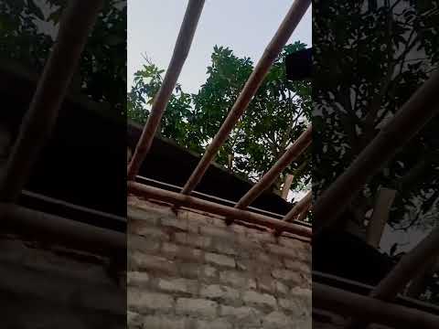 जब घर तोड़ा गया।।हाउस 💔