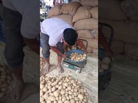 #shortvideo लाल टमाटर चाचा का गाल हैं