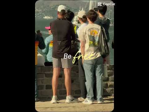 I Wanna Be Free ✈️ | Fleet Week SF Highlights #FleetWeek #AirShow #AviationLife #planespotting #sf