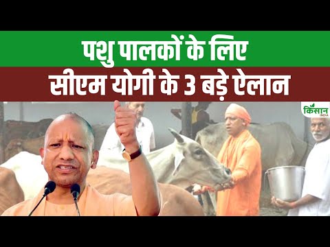 पशु पालकों के लिए CM Yogi का बड़ा बयान, अब होगी छप्परफाड़ कमाई !। Cow Shelters। Dairy Production UP