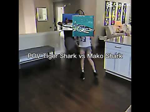POV TIGER SHARK VS MAKO SHARK