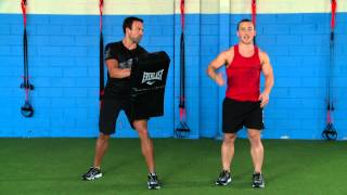 everlast mma strike shield