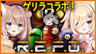 【ゲリラしのプロコラボ】らぱんちゃんを待ちながら二人でREPO【四ノ宮しの/セルフ受肉Vtuber】