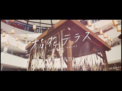 枯花テラス KAREHANA-TERRACE｜横浜ベイクォーター公式（BAY QUARTER YOKOHAMA OFFICIAL）