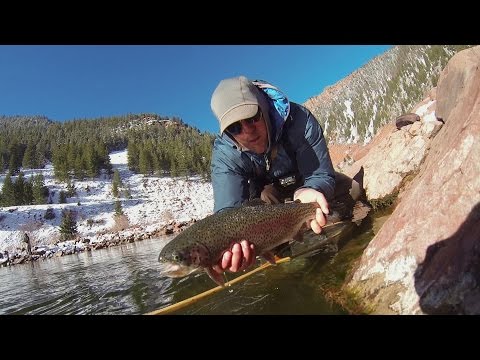 GoPro: Colorado River Fishing - UCqhnX4jA0A5paNd1v-zEysw