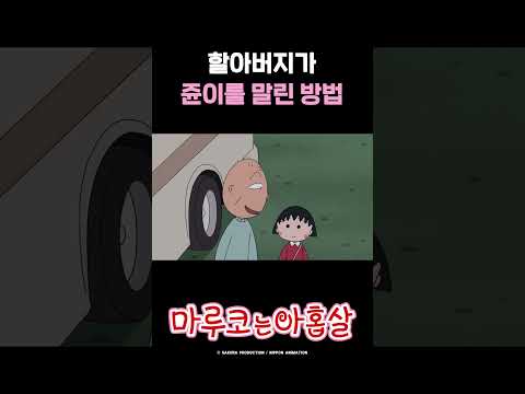 할아버지가 쥰이를 말린 방법_NEW 마루코는 아홉살 2기 10화 #마루코는아홉살 #shorts