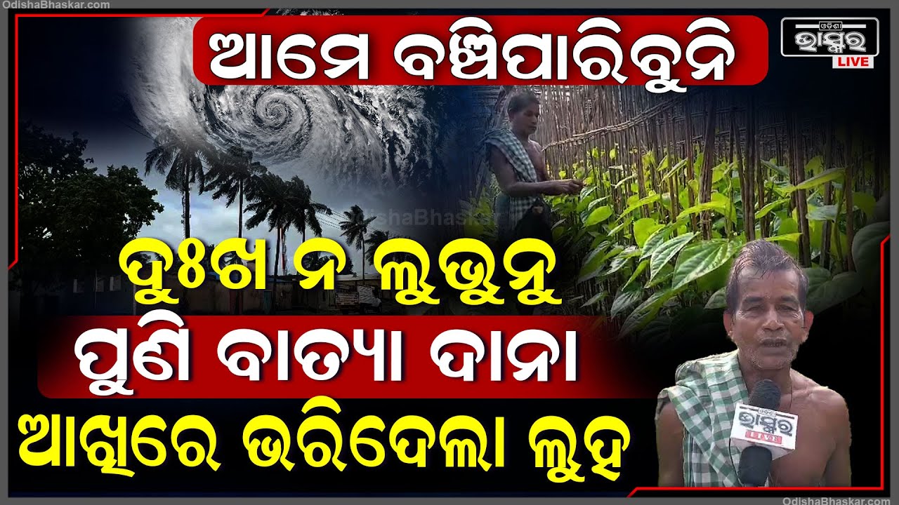 ଦୁଃଖ ନ ଲିଭୁନୁ ପୁଣି ଆସୁଛି ଆଉ ଏକ ଦୁଃଖ...ଫନି ପରି ଏବେ ଦାନା ଚାଷୀଙ୍କ ଆଖିରେ ଭରିଦେଲାଣୀ ଲୁହ...