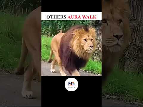 Aura of Walk Mindset Matter 😈💀🗿#inspiration #motivational #fyp