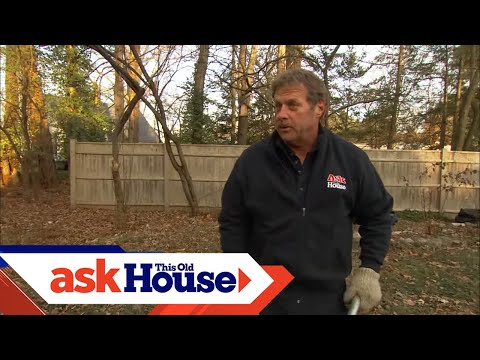 How to Remove Tree Stumps | Ask This Old House - UCUtWNBWbFL9We-cdXkiAuJA