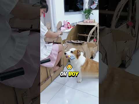 City Don vs Fearless Girl – You Won’t Believe the