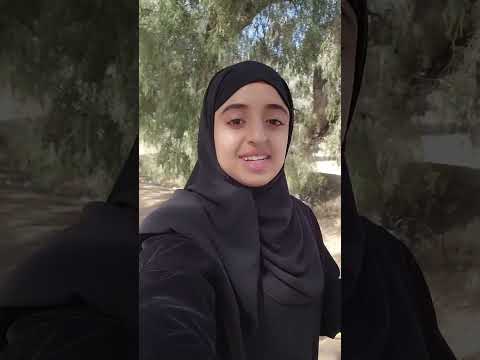 ملاك فتحي