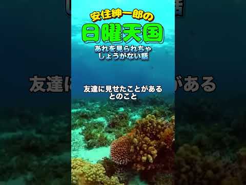 あれみられちゃしょうがない🤣#日曜天国 #安住紳一郎の日曜天国 #すべらない話