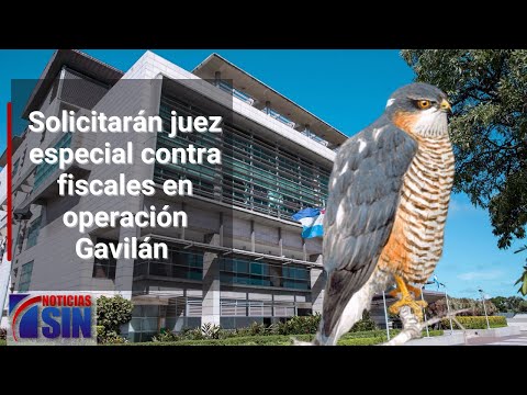 Solicitarán juez especial contra fiscales en operación Gavilán