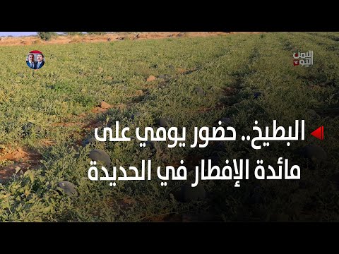 الحديدة | فاكهة البطيخ... حضور يومي على مائدة الإفطار الرمضانية - تقرير: حسام بكري