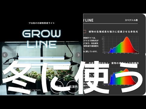 【語り】冬、室内で徒長しないためにGROW LINEを導入したい件。夏の太陽光で育った分を無駄にしないライト【ふぶきテトラ】