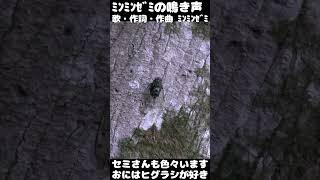 ミンミンゼミ、いいよね
