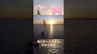 【声マネキング】夏休みスペシャル_海に行った気分になれる動画 #shorts #vtuber #ゲーム実況 #声マネキング  #いるはーと